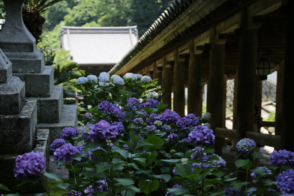 長谷寺「登廊」