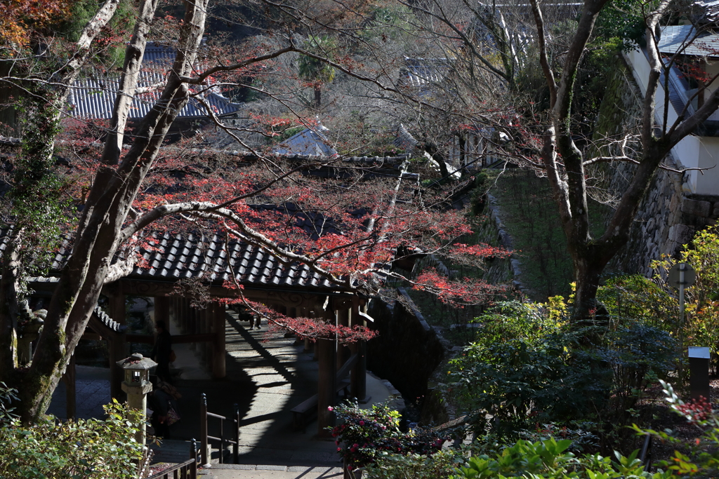 長谷寺　晩秋