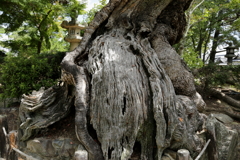 斑鳩の里　法隆寺