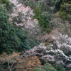 山の彩