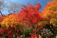 錦の山寺
