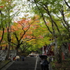 秋づく談山神社