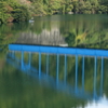 秋、青蓮寺湖