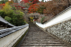 錦秋・長谷寺