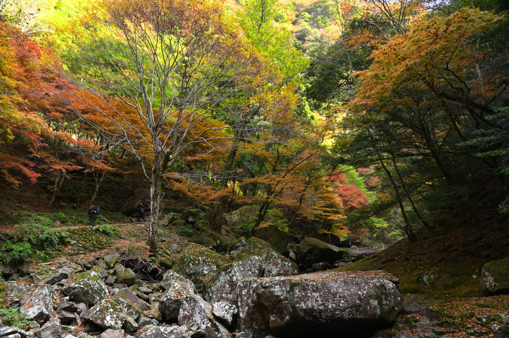 赤目渓谷