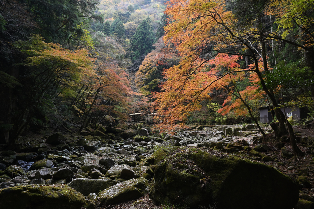 赤目渓谷