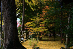 積田神社の紅葉