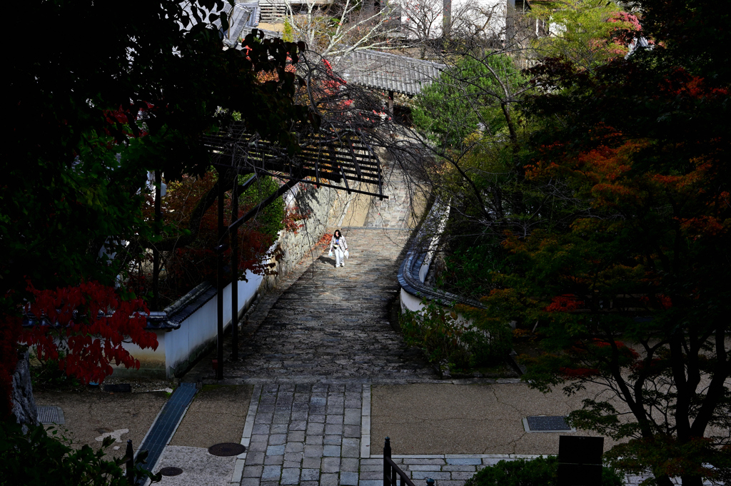 長谷寺　秋景色
