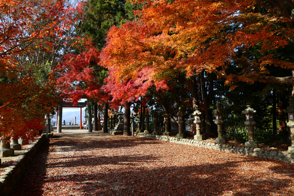 紅葉の積田神社 Part2