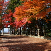 紅葉の積田神社 Part2