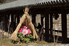 冬の景色