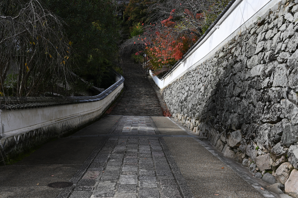 長谷寺　秋景色