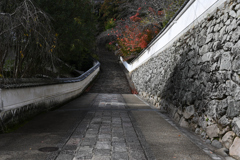 長谷寺　秋景色