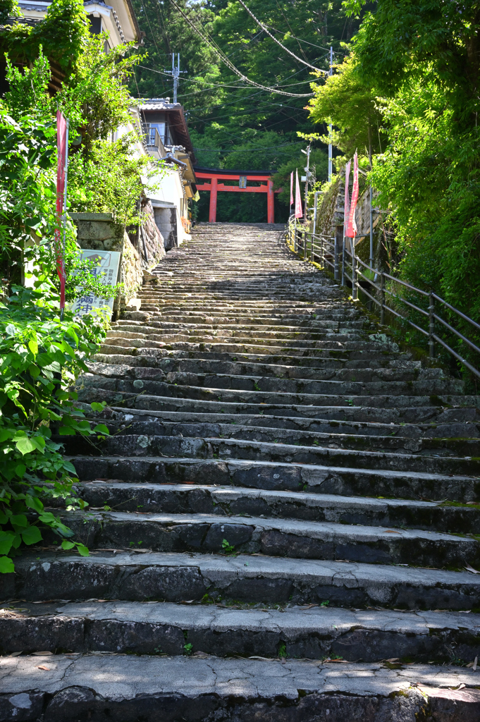 赤い