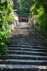 赤い