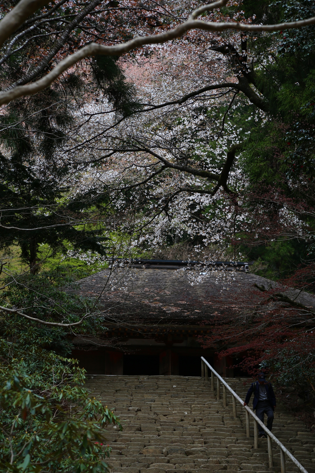 室生寺　幽邃