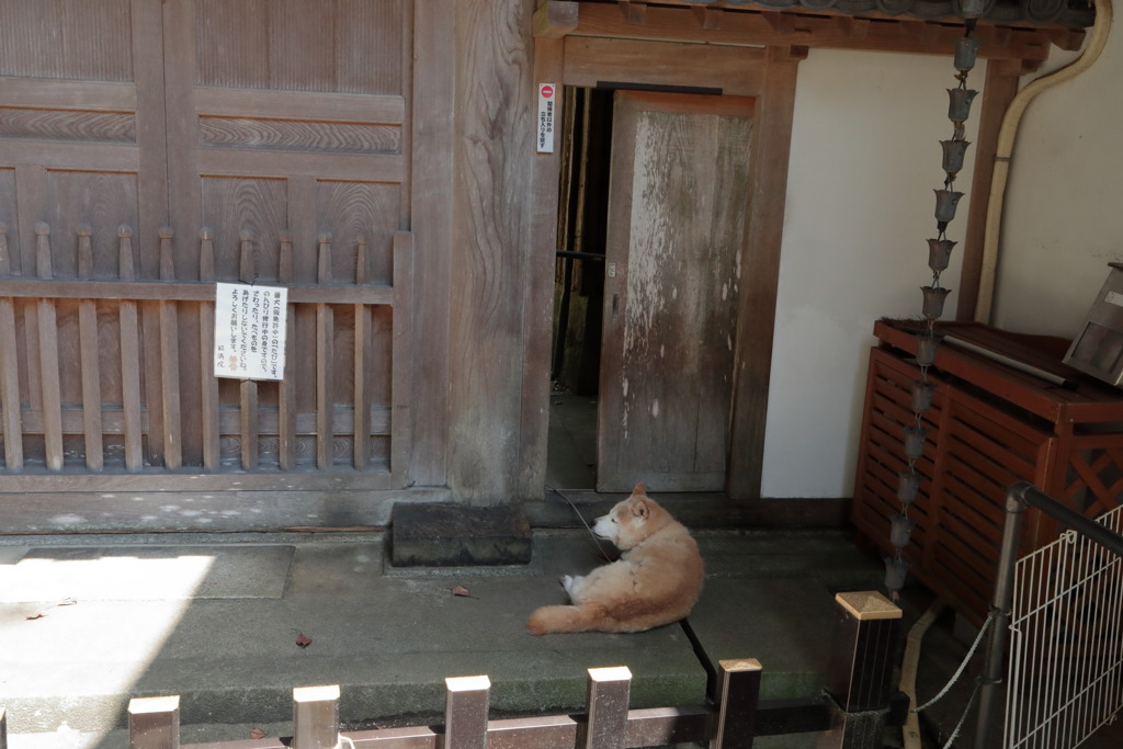 夏休みが終わって