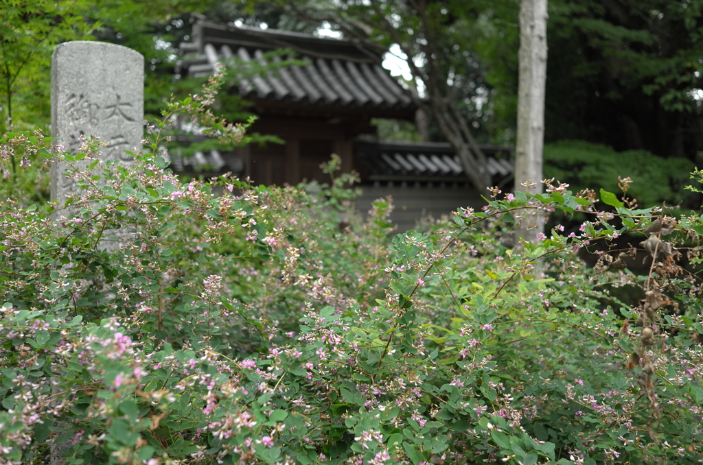 奈良　秋篠寺