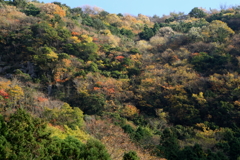 香落渓 紅葉を求めて