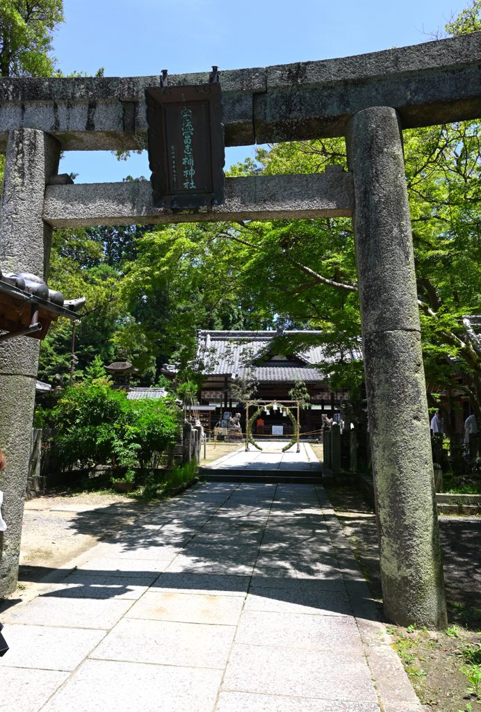 夏越しの祓え