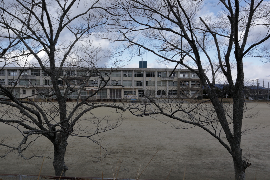 冬の散歩道