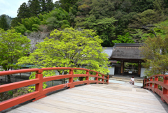 春めく室生寺