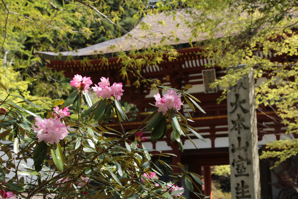 室生寺　仁王門