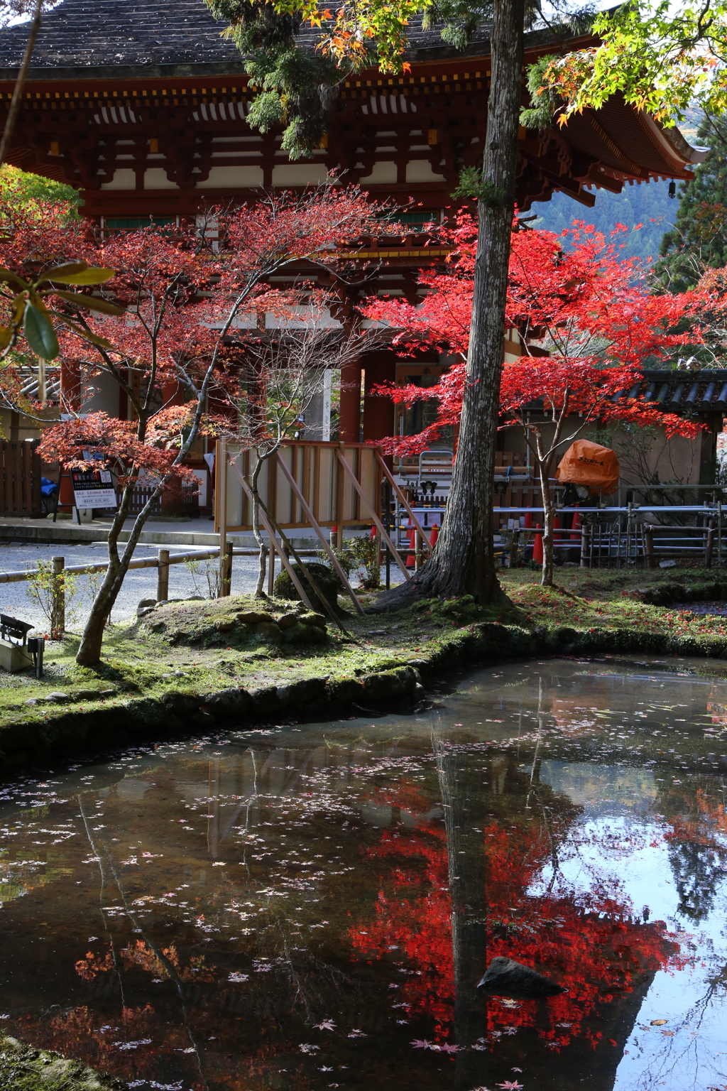 秋麗 室生寺