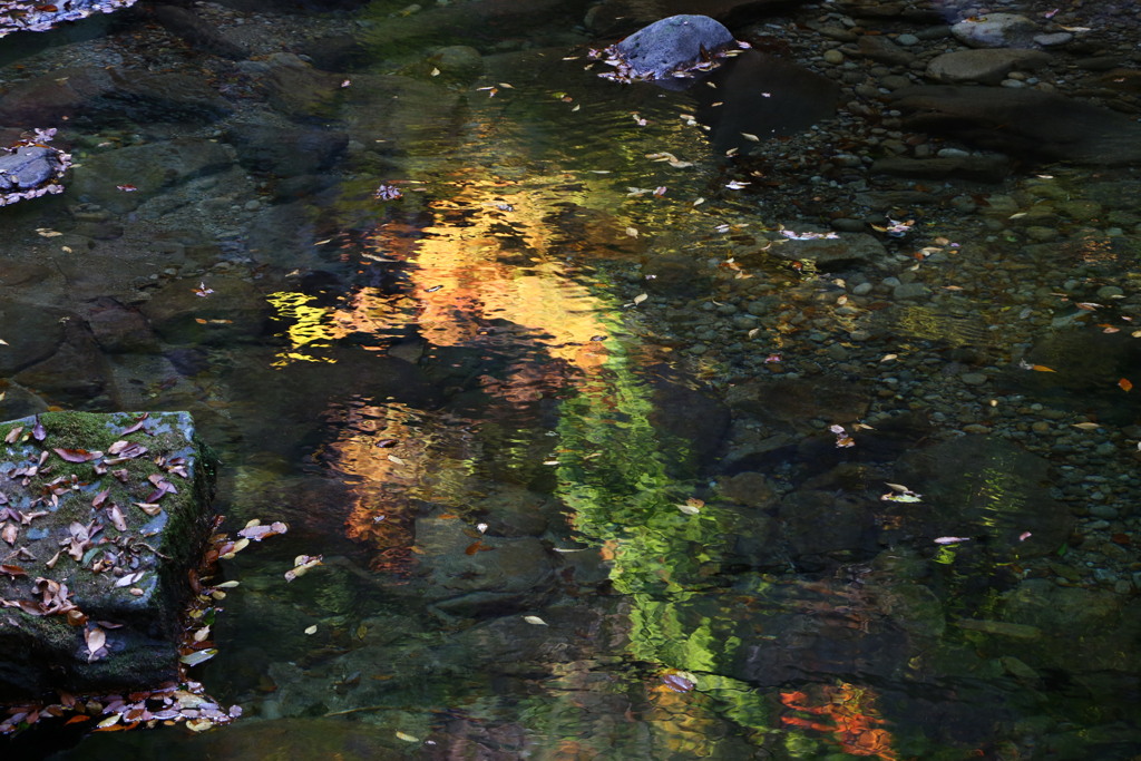 赤目渓谷　水面の紅葉