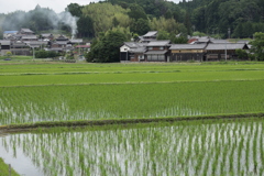 田園風景