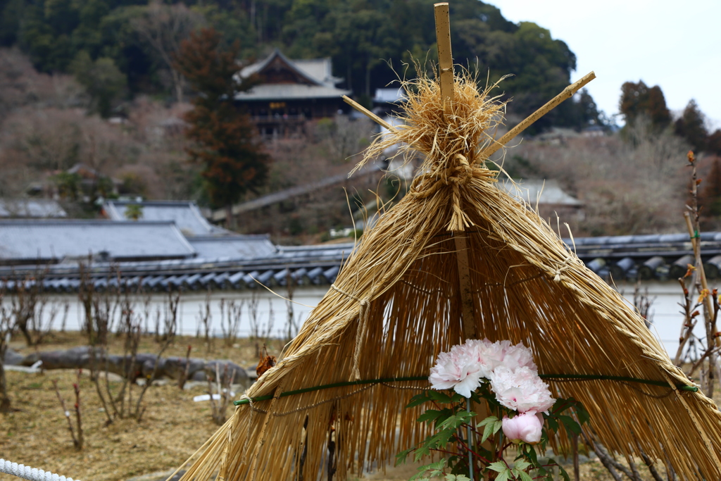 春待ち　長谷寺