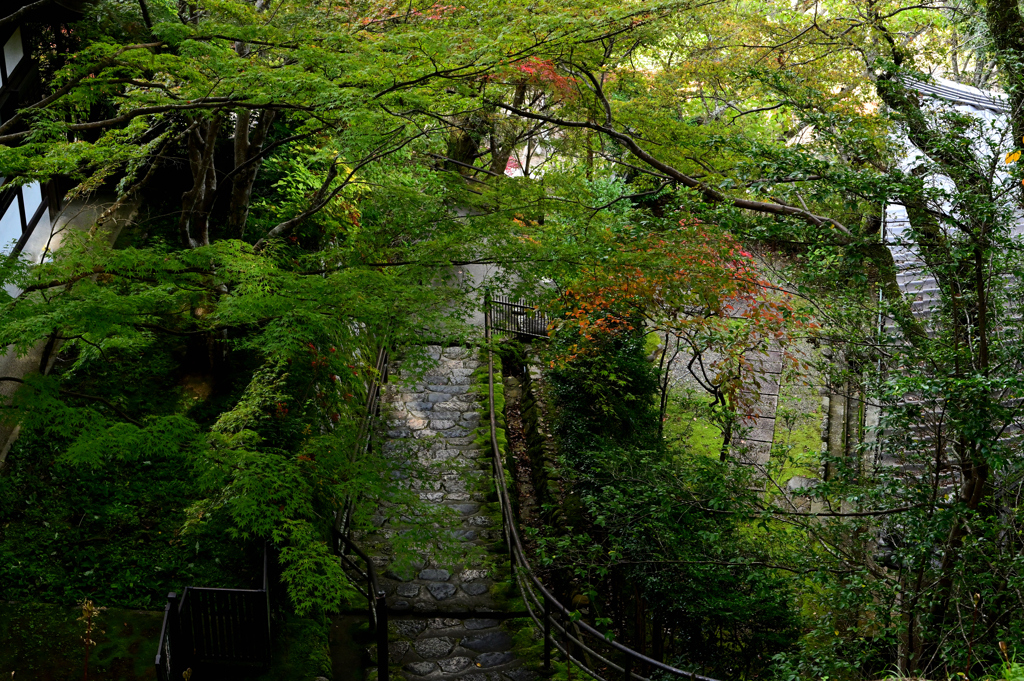 長谷寺　秋景色