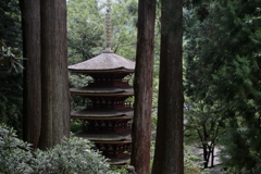 夏の室生寺　五重の塔
