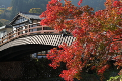 秋に染まる室生寺
