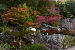 長谷寺　秋景色