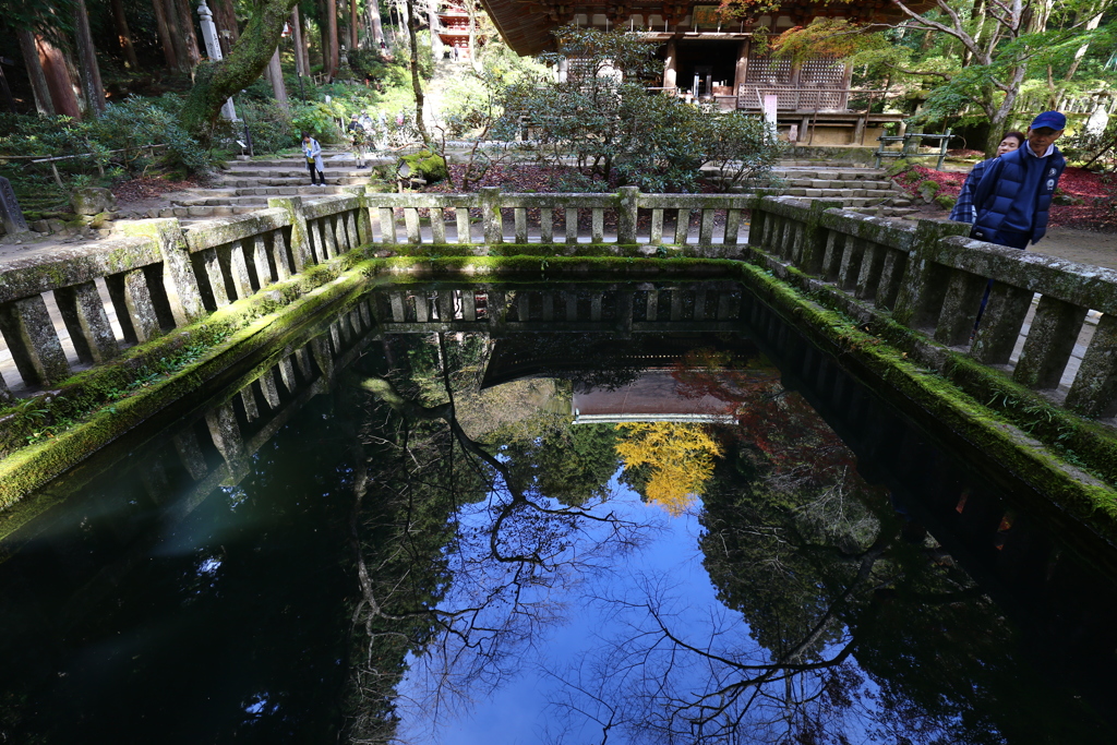 秋麗 室生寺