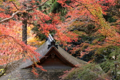 秋深まる室生寺