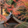 秋深まる室生寺