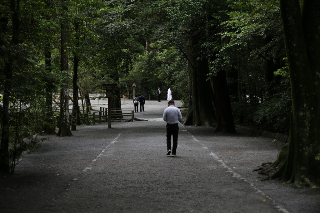 伊勢神宮　外宮の参道