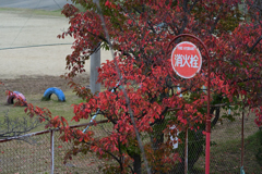 赤色に囲まれて