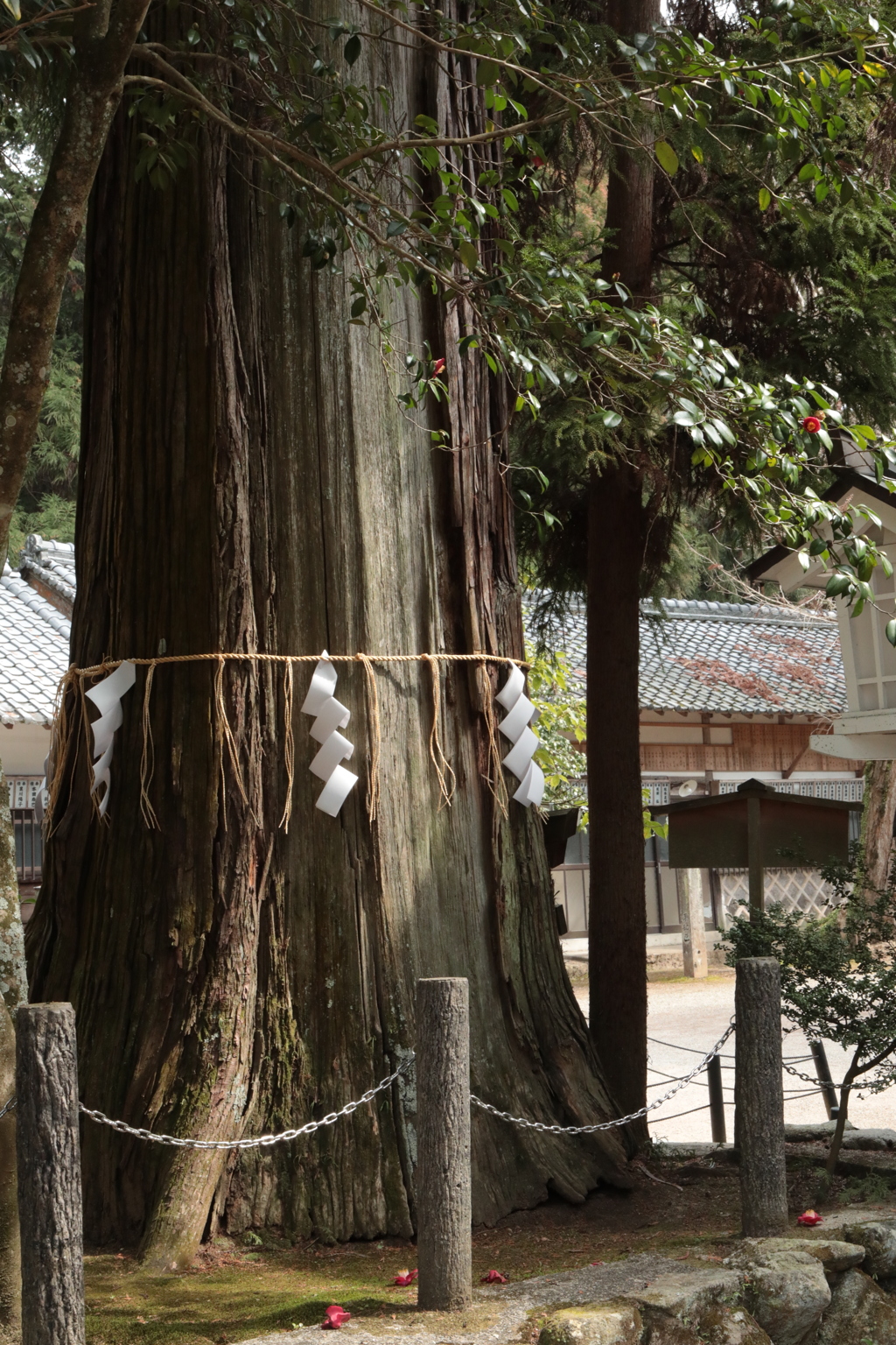 出張散歩　大村神社