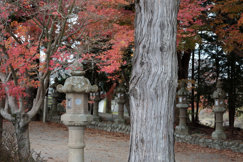 積田神社　参道の彩り