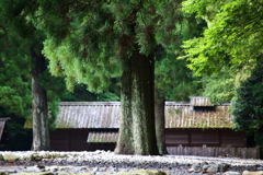 伊勢神宮　外宮「古殿地」