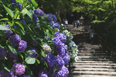 長谷寺「本堂」