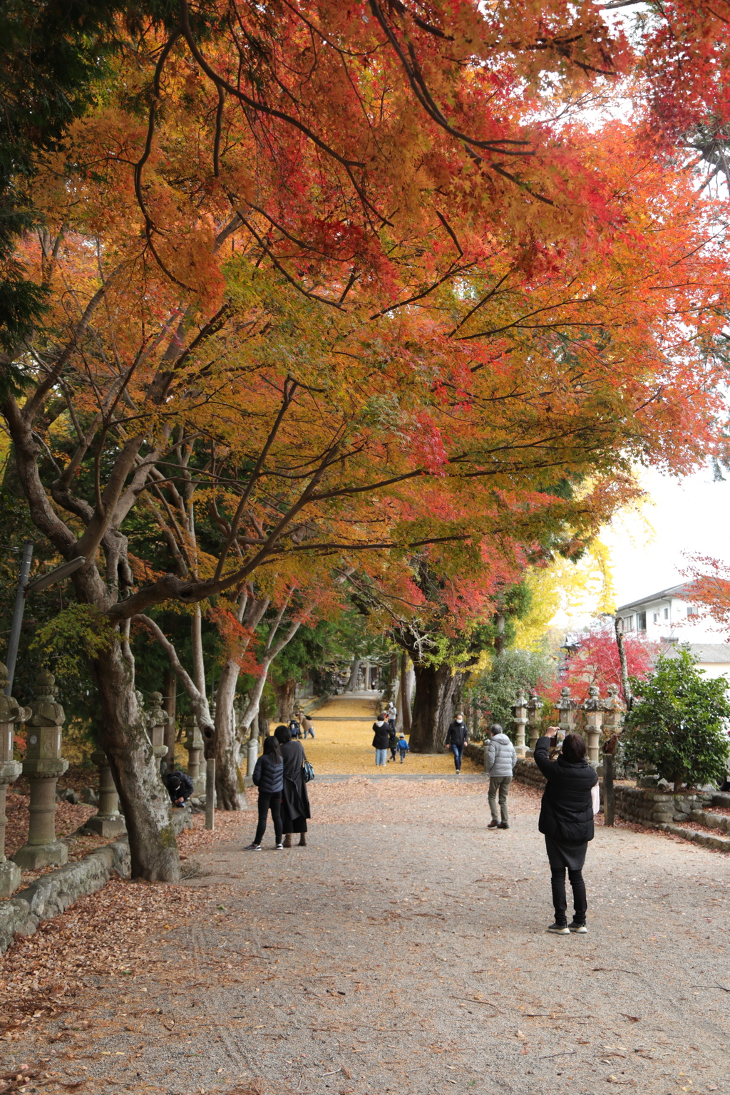 積田神社　それぞれのアングル