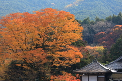 錦の山寺