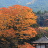錦の山寺
