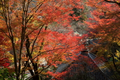 錦の山寺