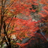 錦の山寺