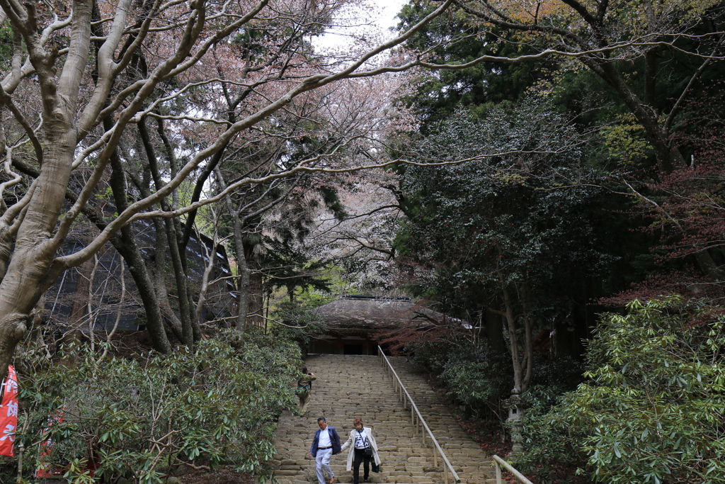 室生寺　幽邃